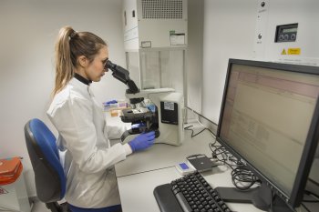 Fertility - For clinics and medical professionals